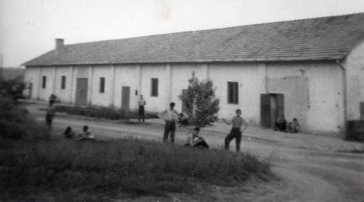 rgi kpek